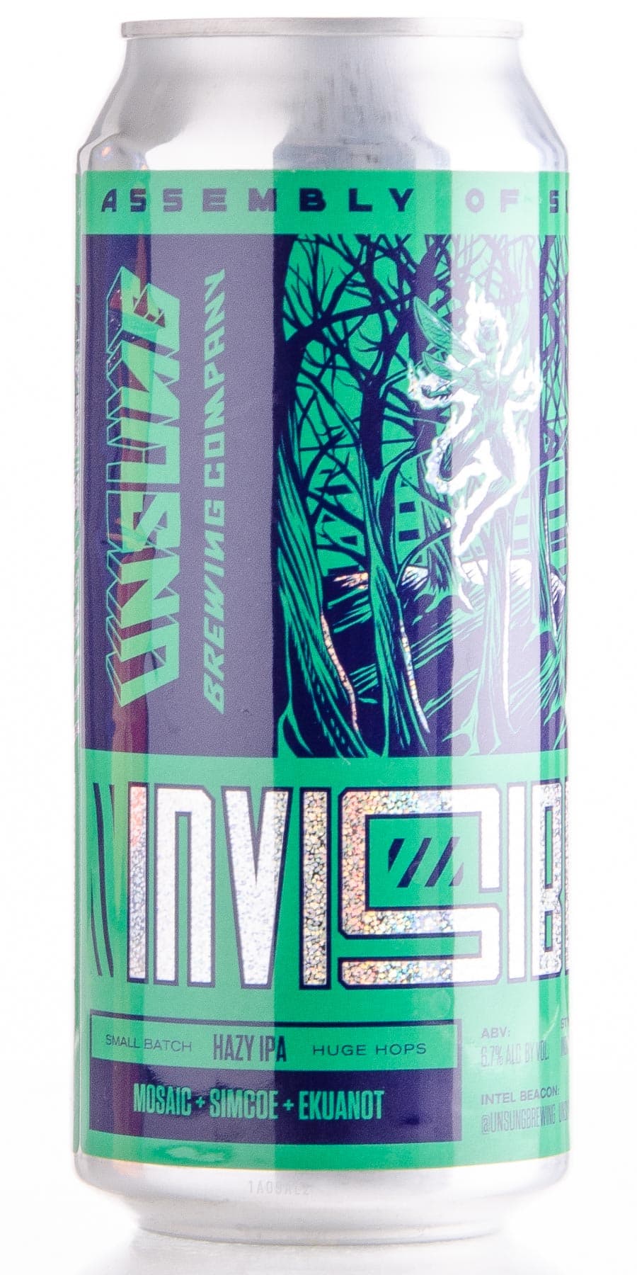 Invisibility