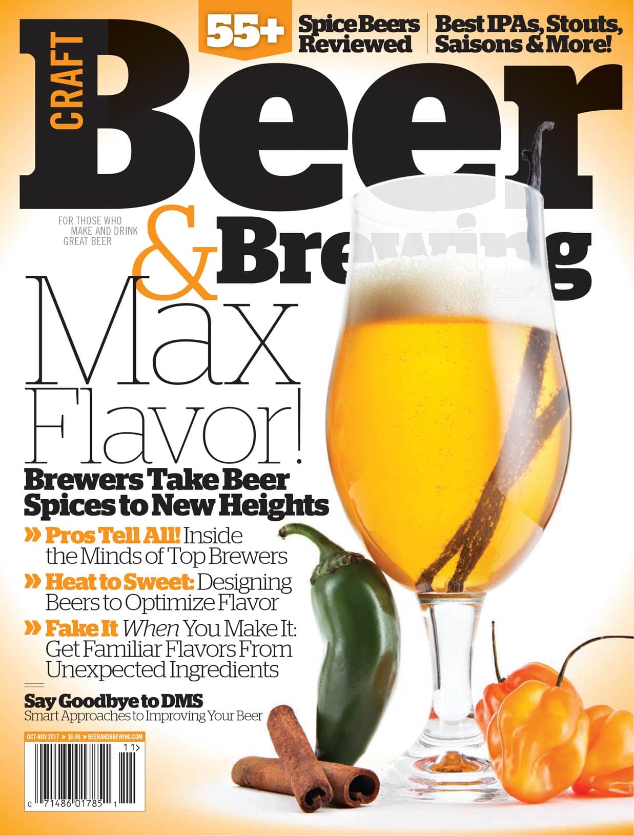 Max Flavor (October-November 2017) cover