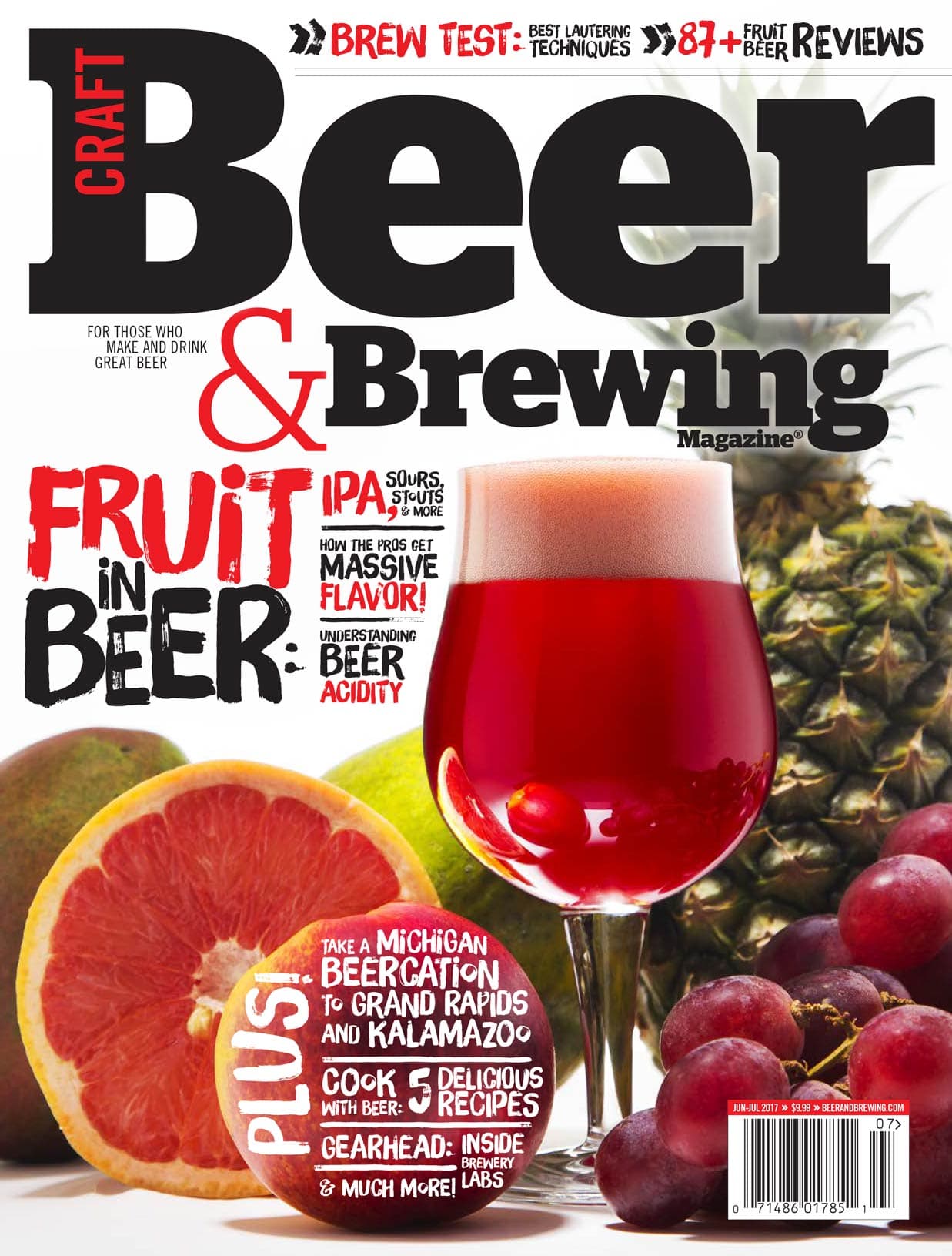 Fruit in Beer (June-July 2017) cover