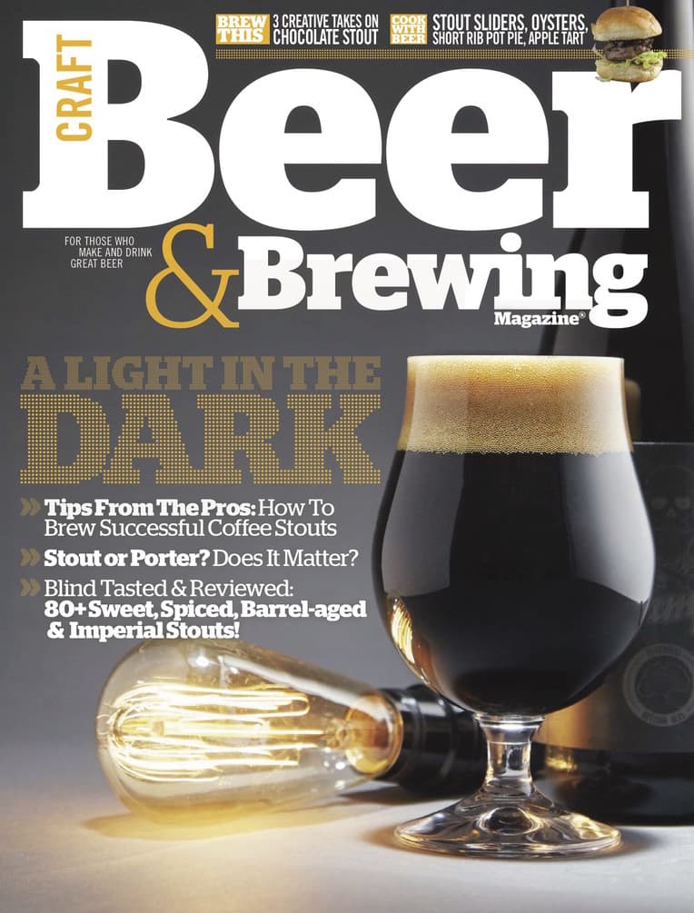 A Light in the Dark (April-May 2016) cover