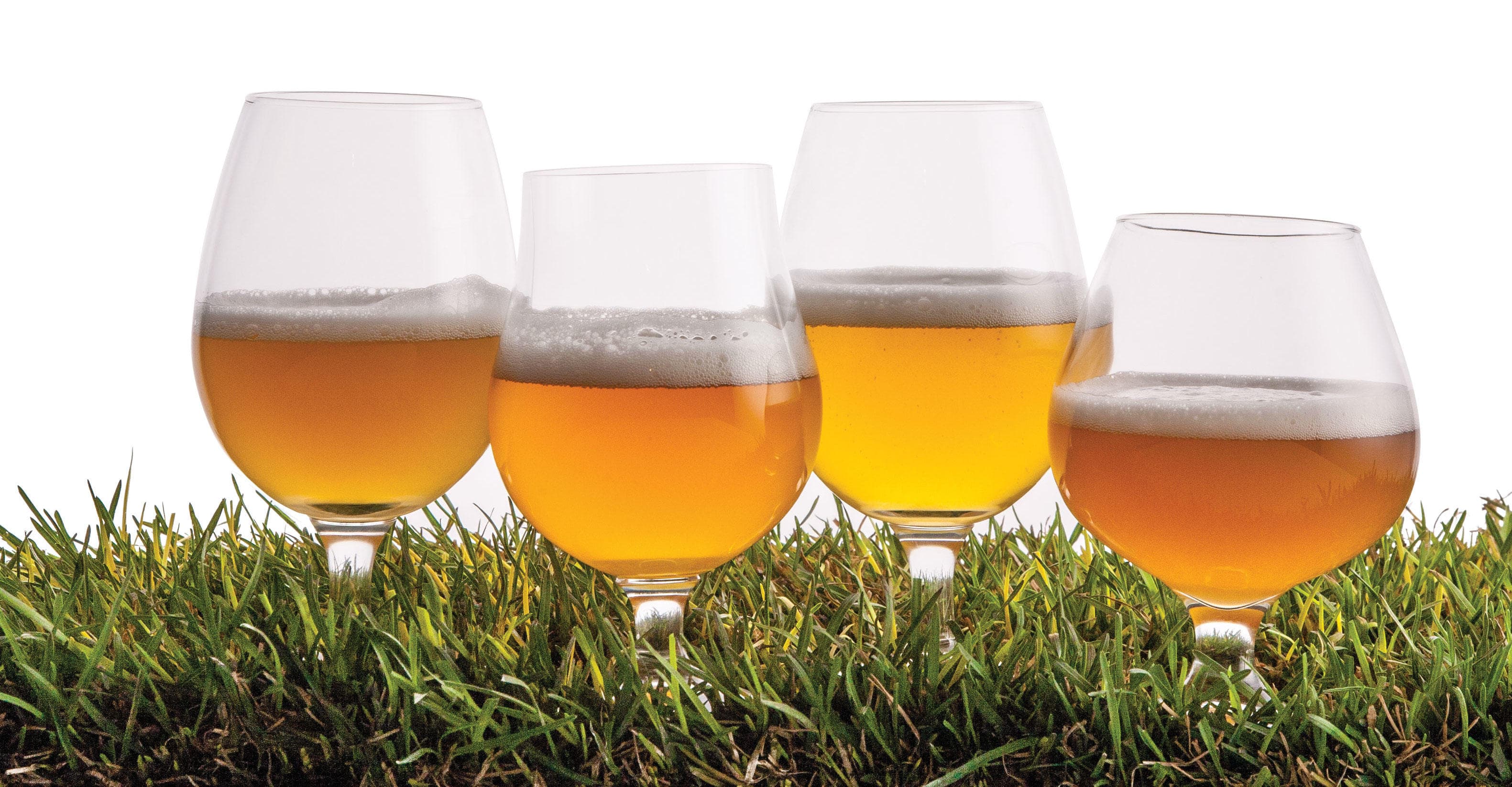 Homebrew Fundamentals for Saisons and Bières de Garde