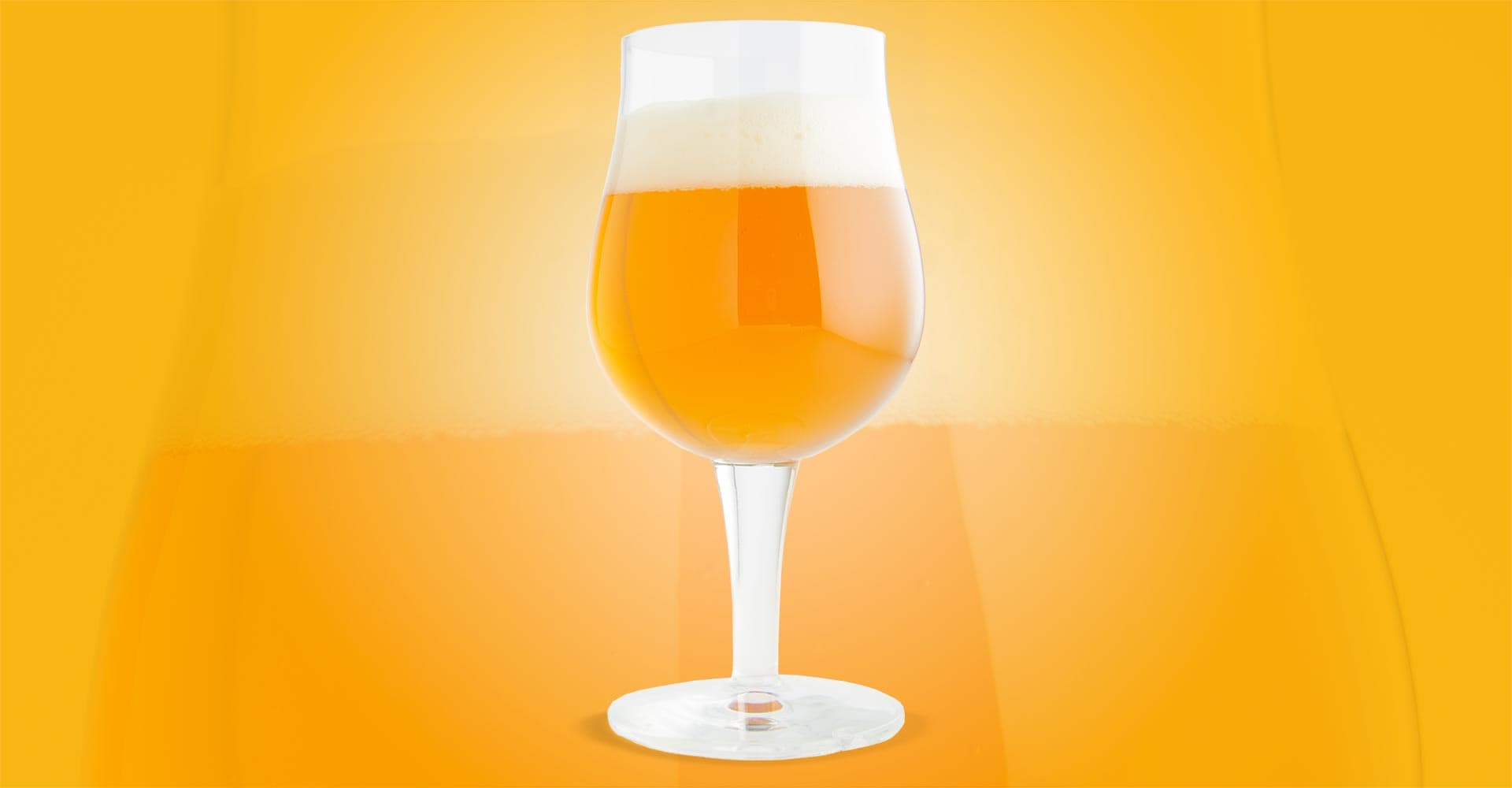 Schuylkill Lambic-Style Ale Recipe