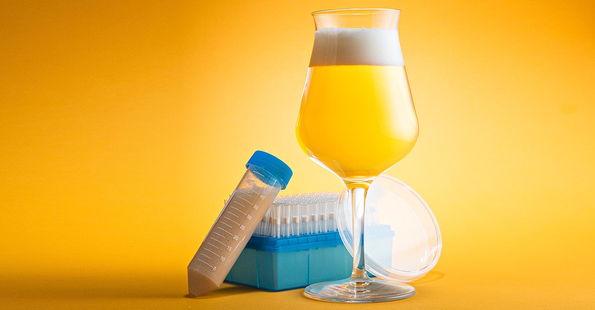 A Surprise in the Yeast