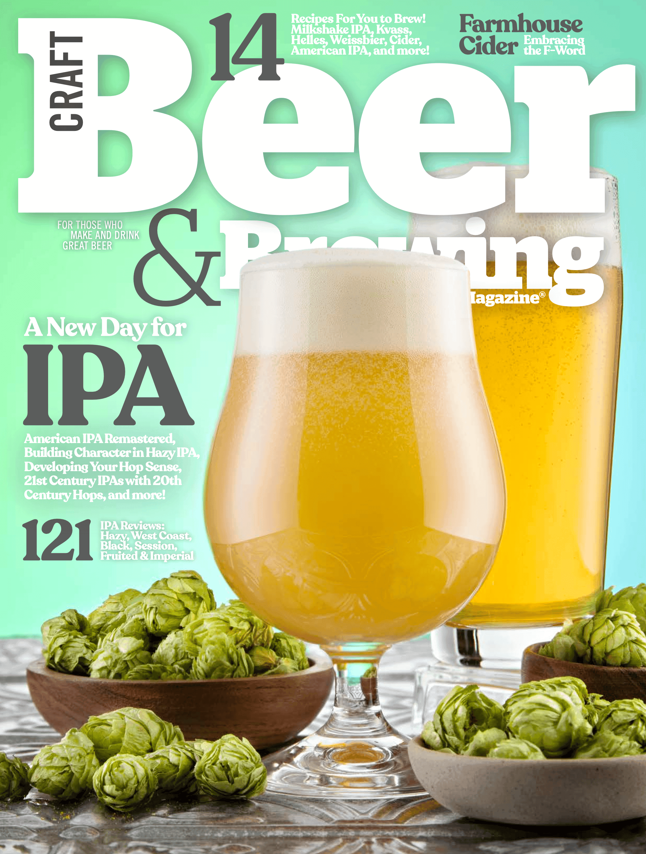 A New Day for IPA (Summer 2024) cover