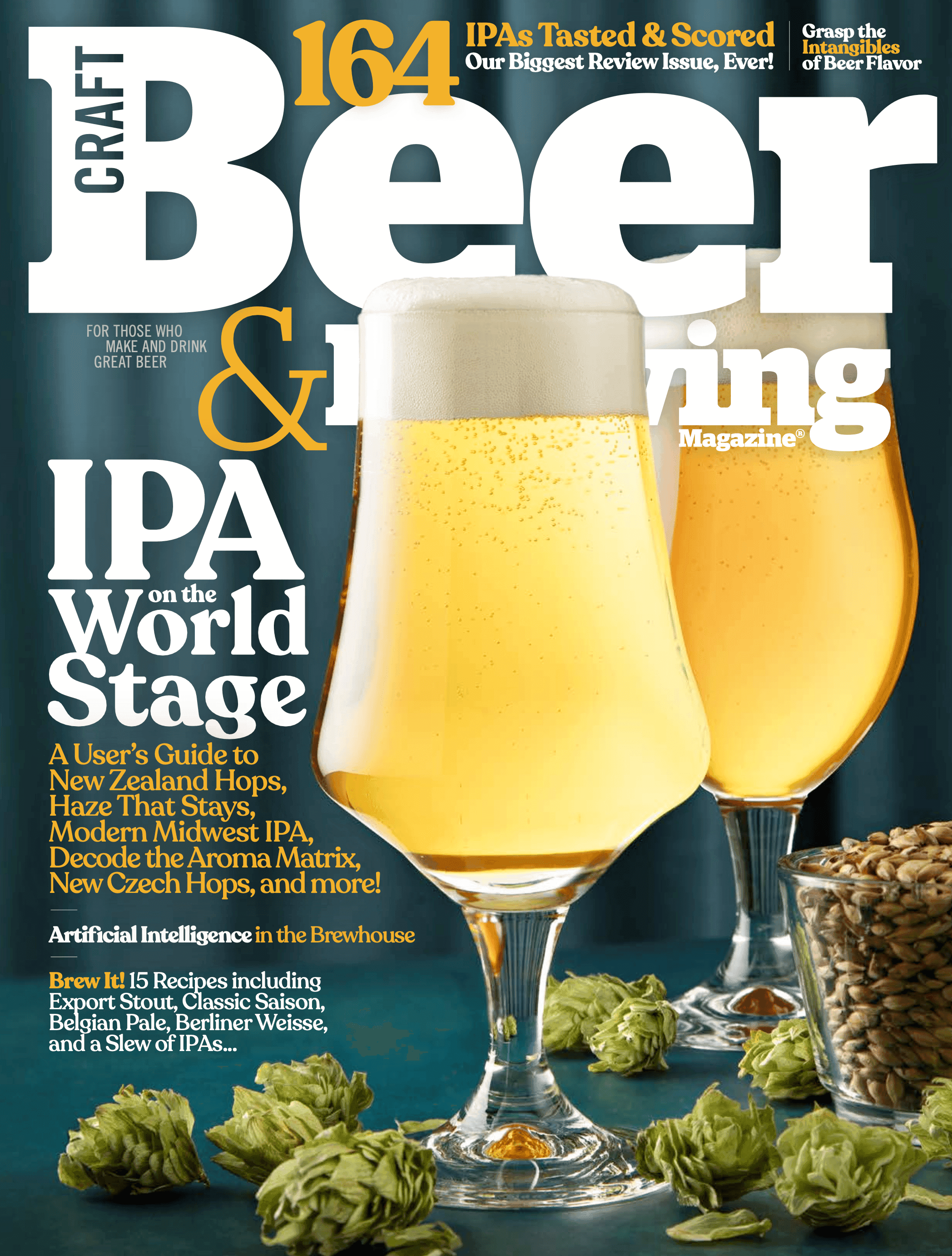 IPA on the World Stage (Summer 2025) cover