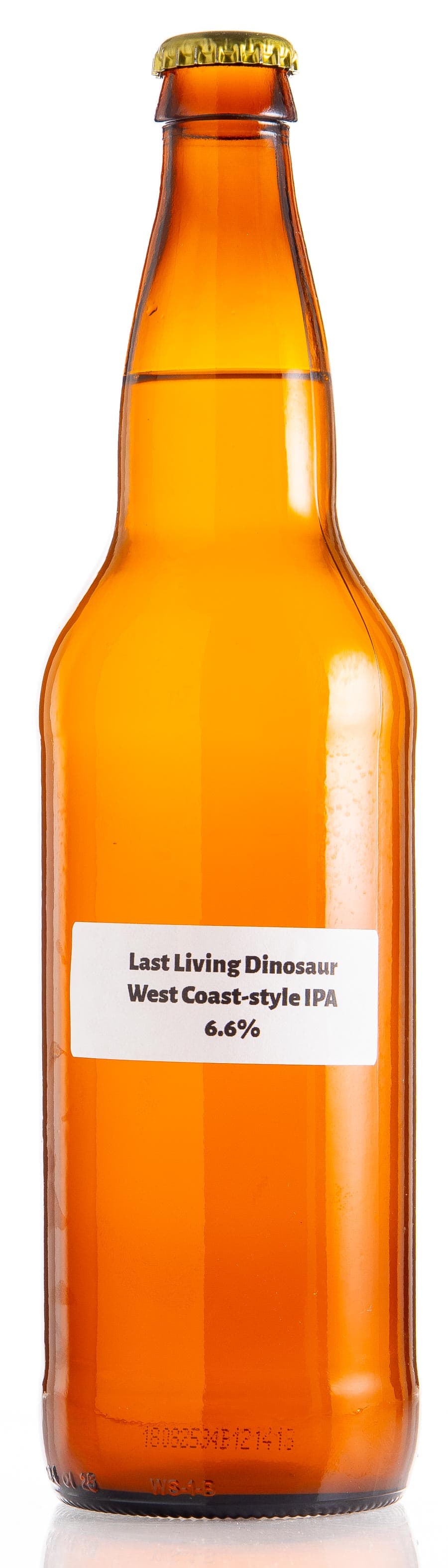 Last Living Dinosaur