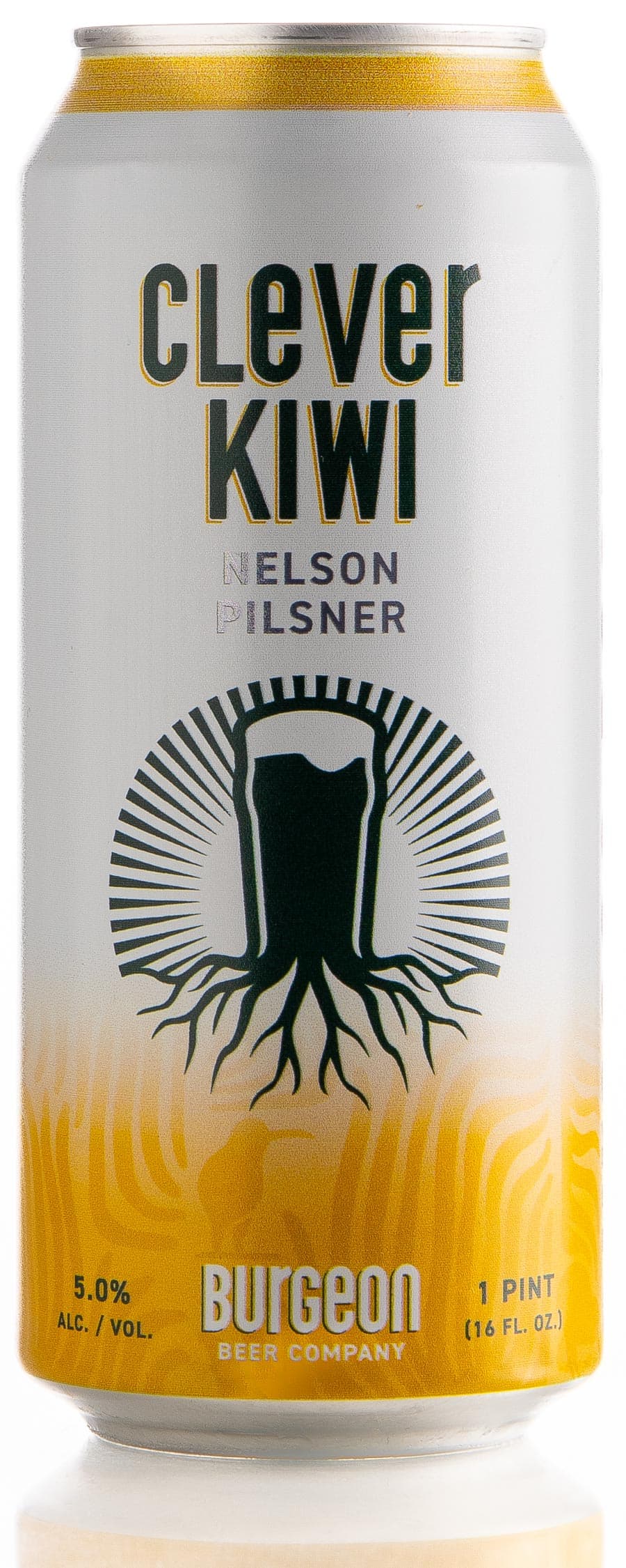 Clever Kiwi