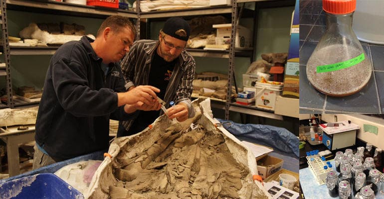 Bone Dusters Paleo Ale