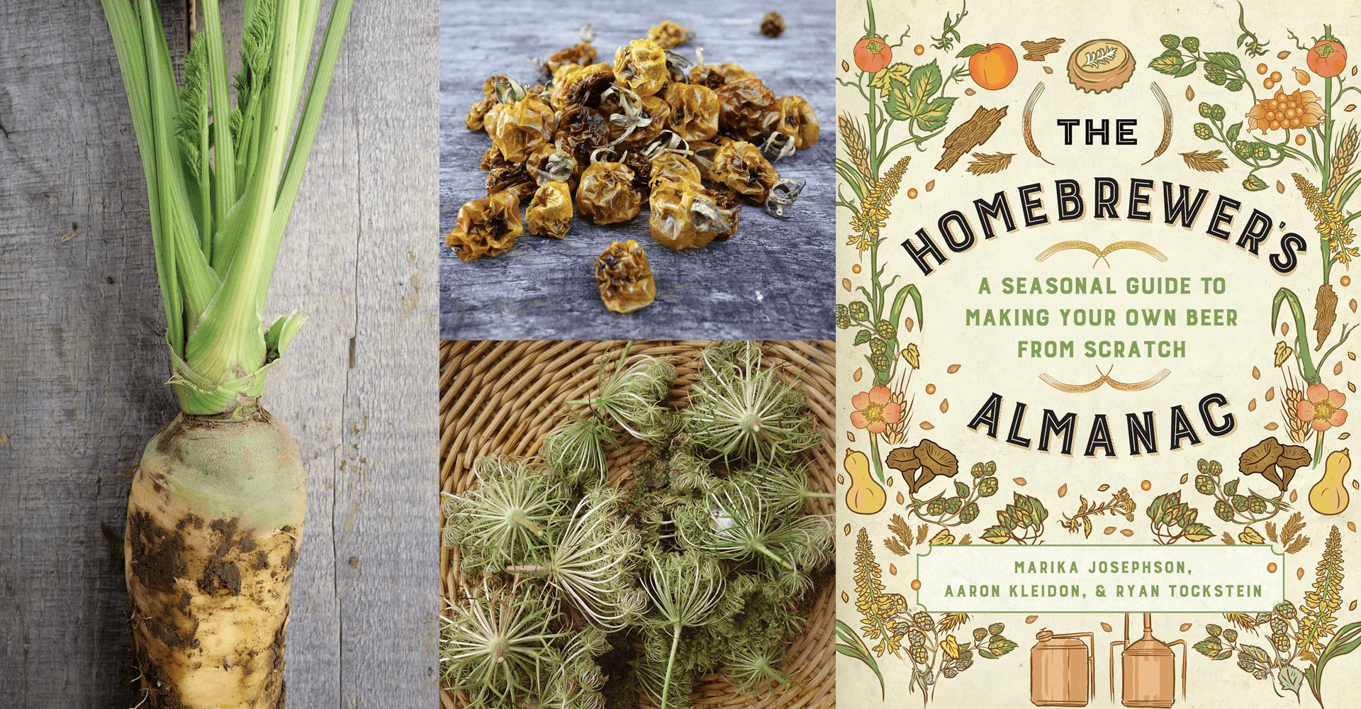 Brew with the Seasons