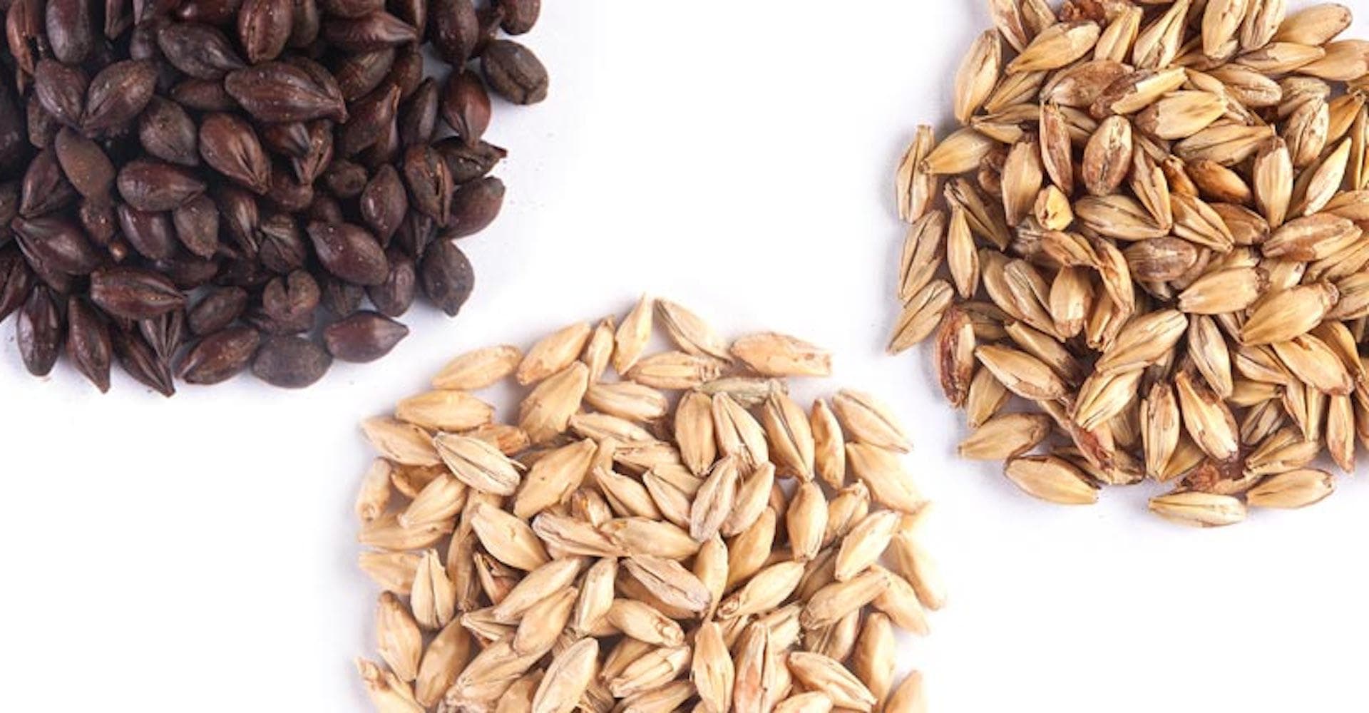 Get to Know Your Malt