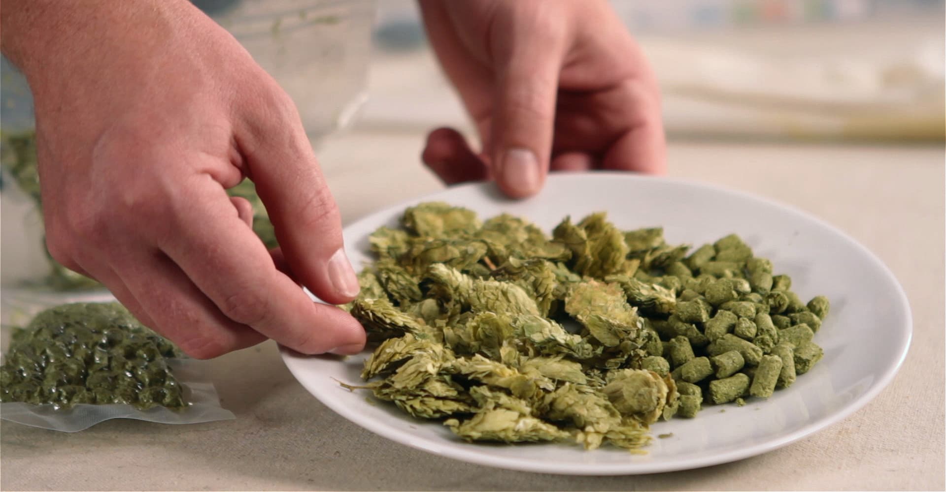 Exchange Rates V: Hops Utilization