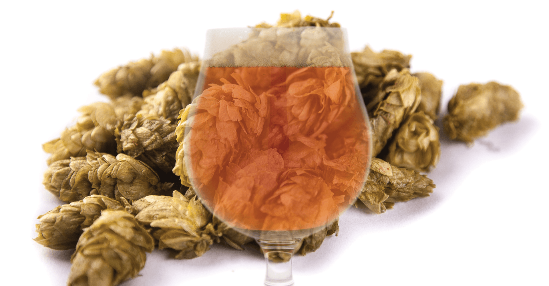 Beyond Bitter: Defining Imperial Pale Ale