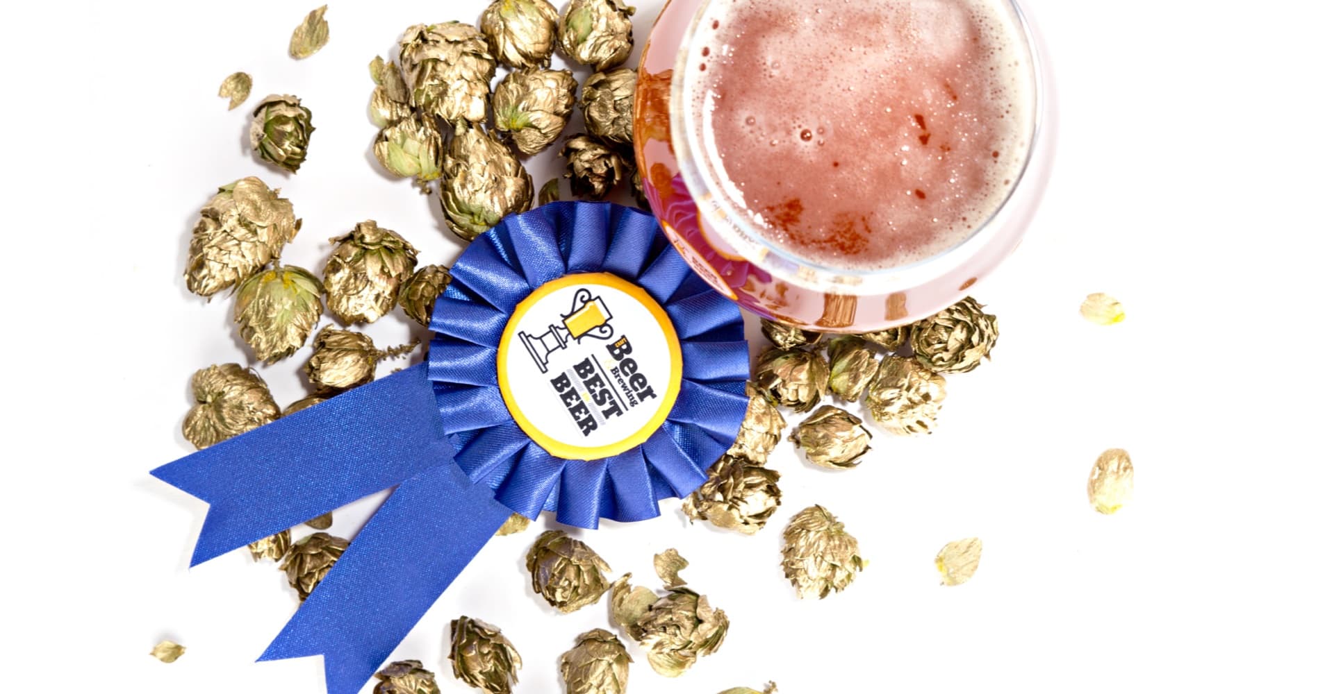 Craft Beer & Brewing Magazine Best in Beer 2017: Homebrewers’ Picks