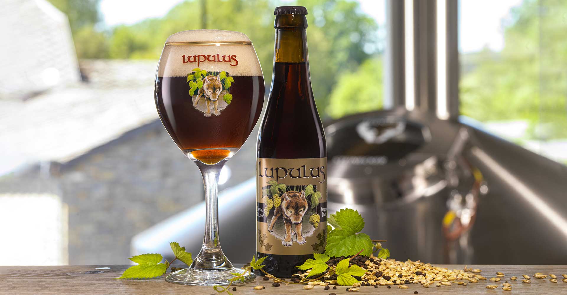 Recipe: Lupulus Brune