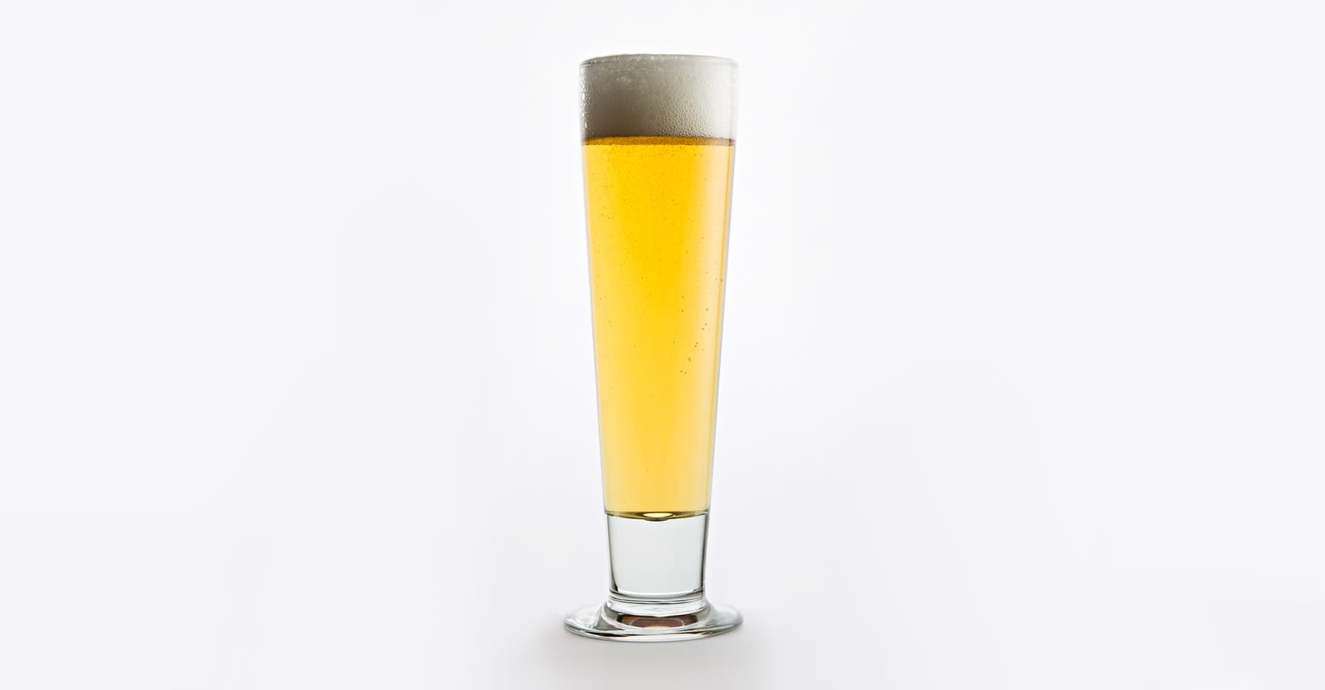 Make Your Best Czech Pale Lager
