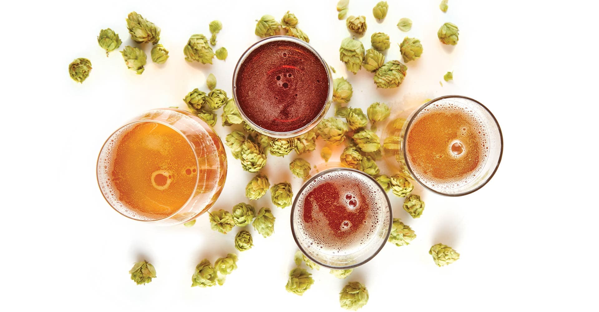 If You Don’t Like IPAs, There’s a Reason Why. Here’s 10.