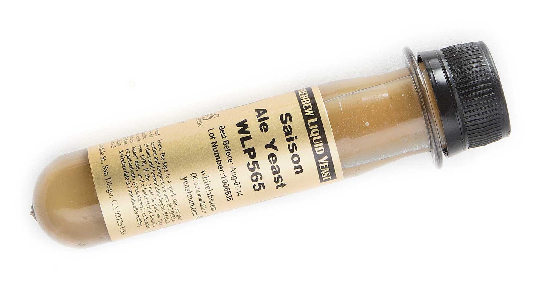 Ask the Experts: Belgian Yeast Strains