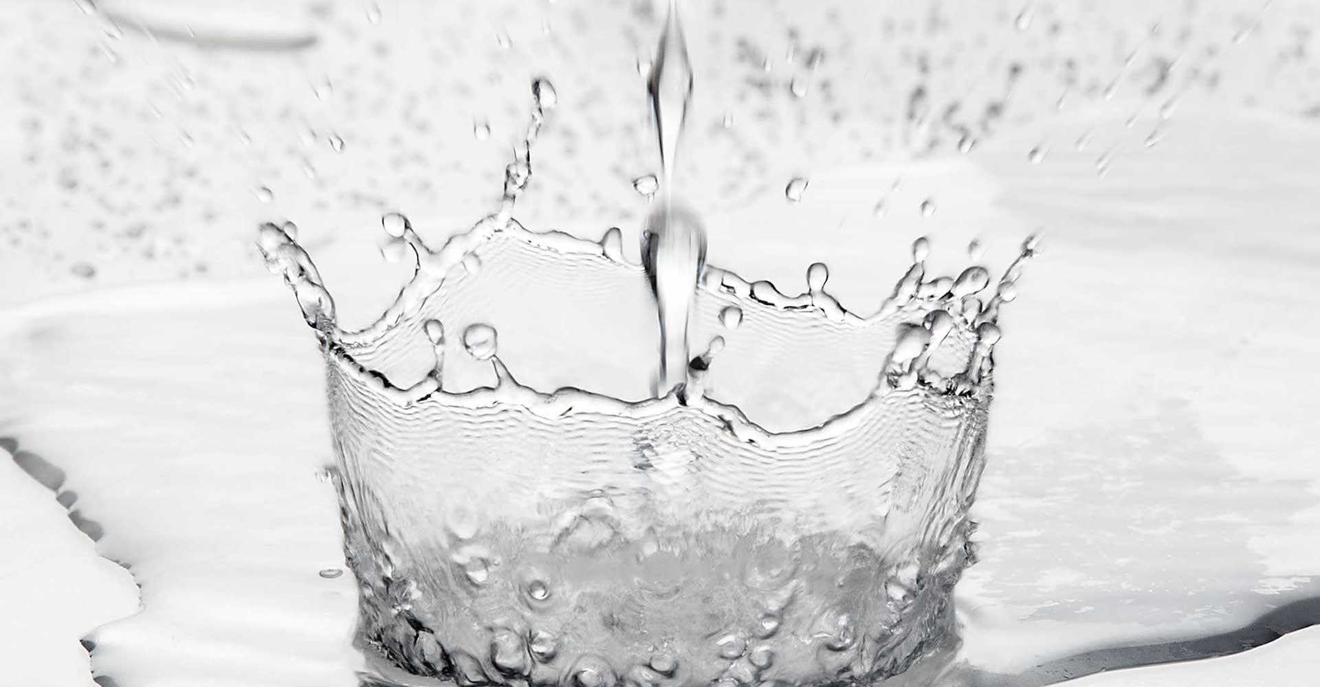 Water: The Overlooked Essential