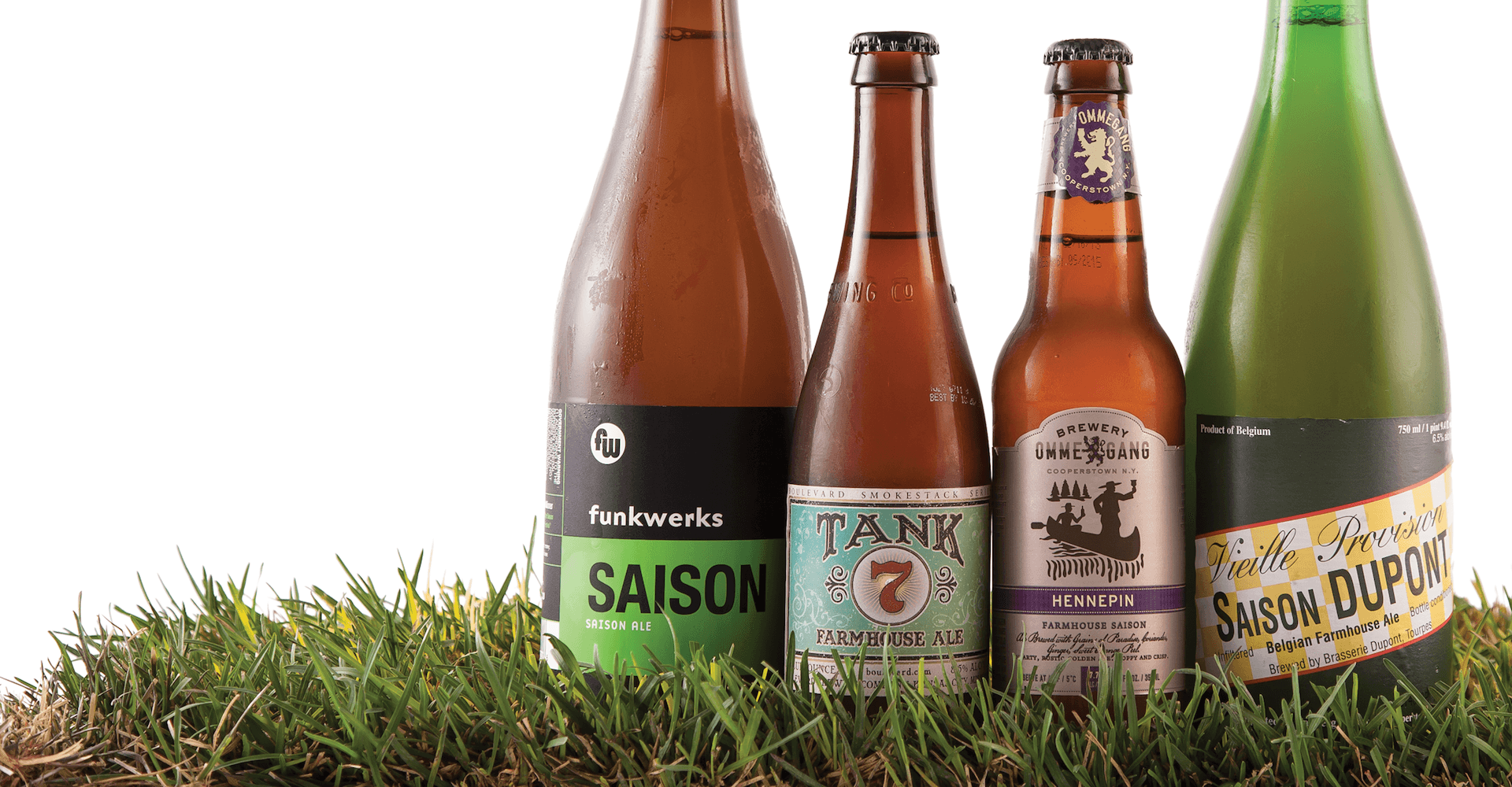 Color Outside the Lines