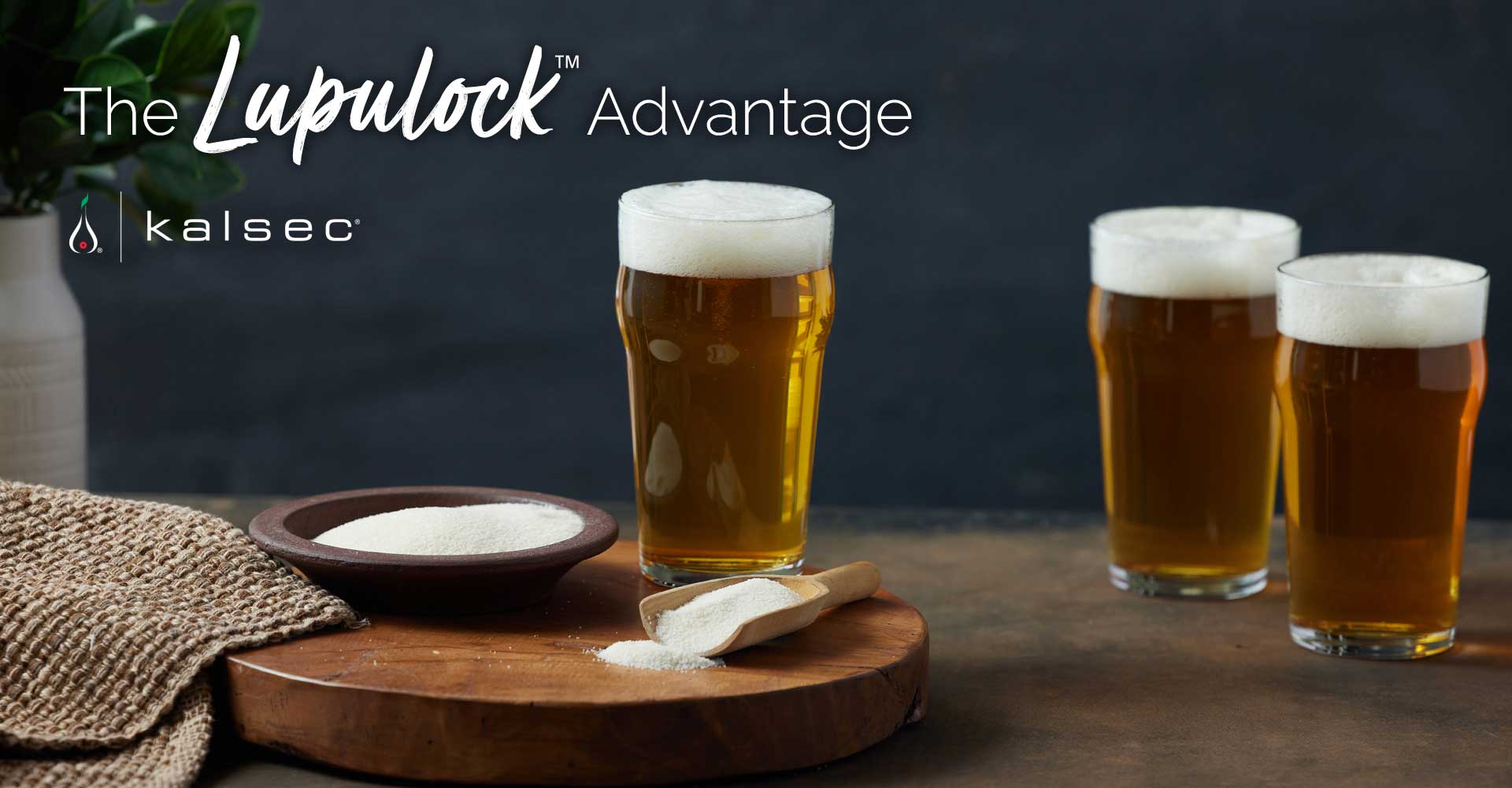 The Lupulock Advantage, Crafted by Kalsec