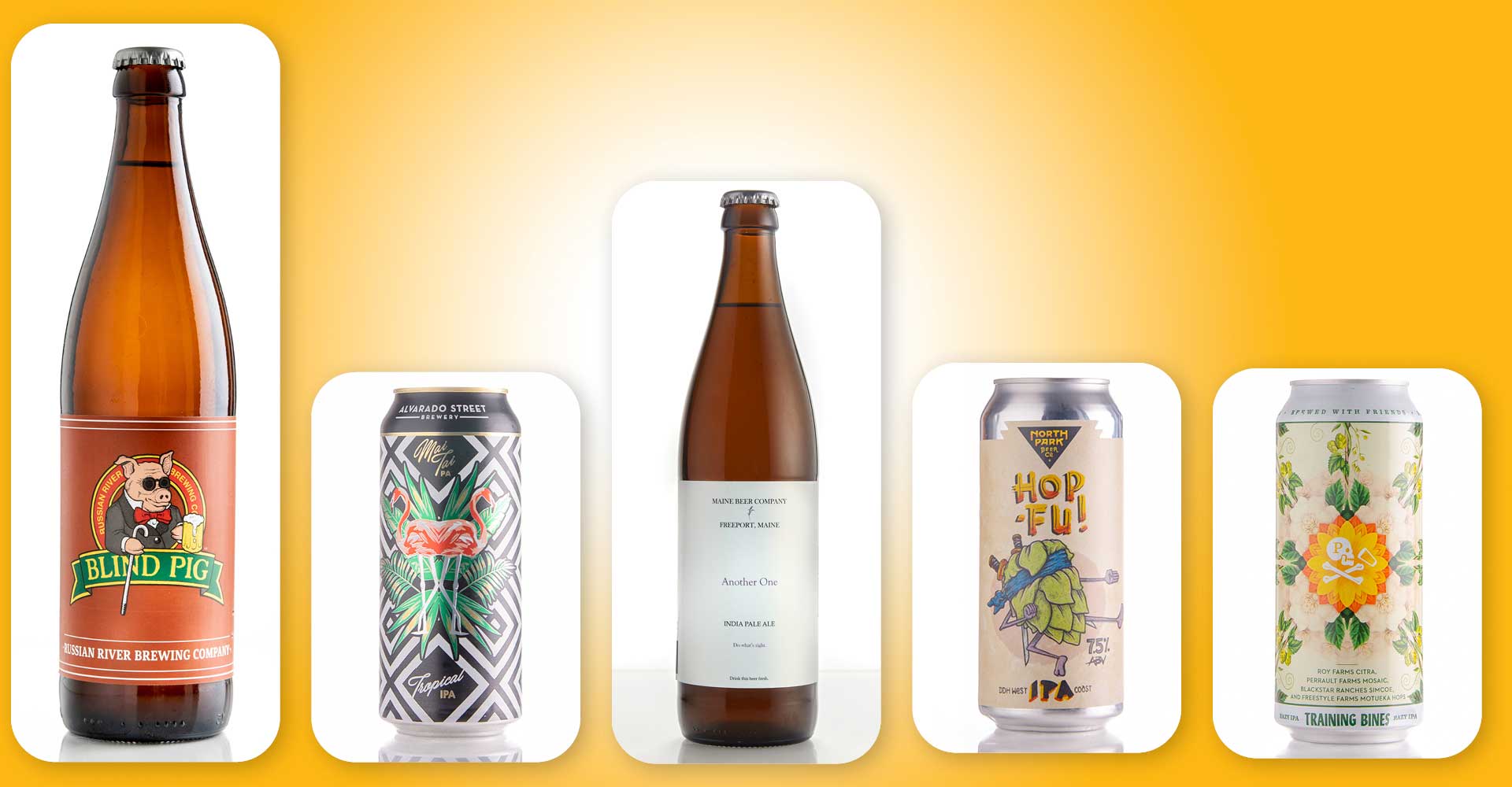 IPA Today: Five Top Picks from the Pros