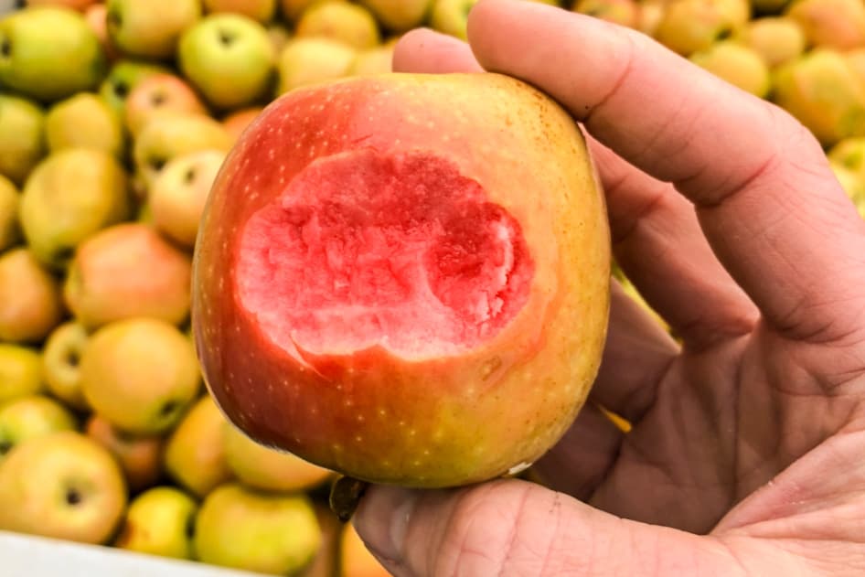 Recipe: Bauman’s Mountain Rose Single-Varietal Cider