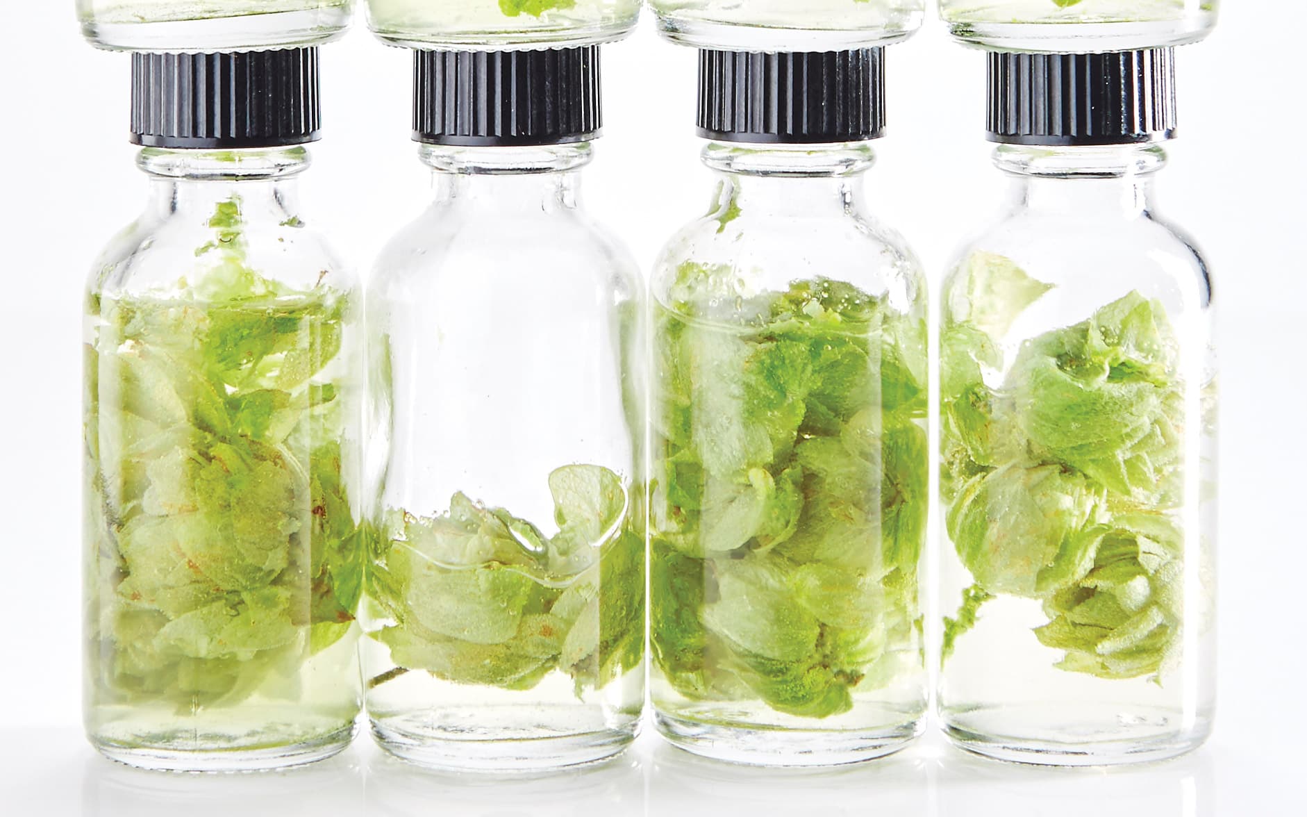 Formulation: Non-Alc Recipe and Ingredients