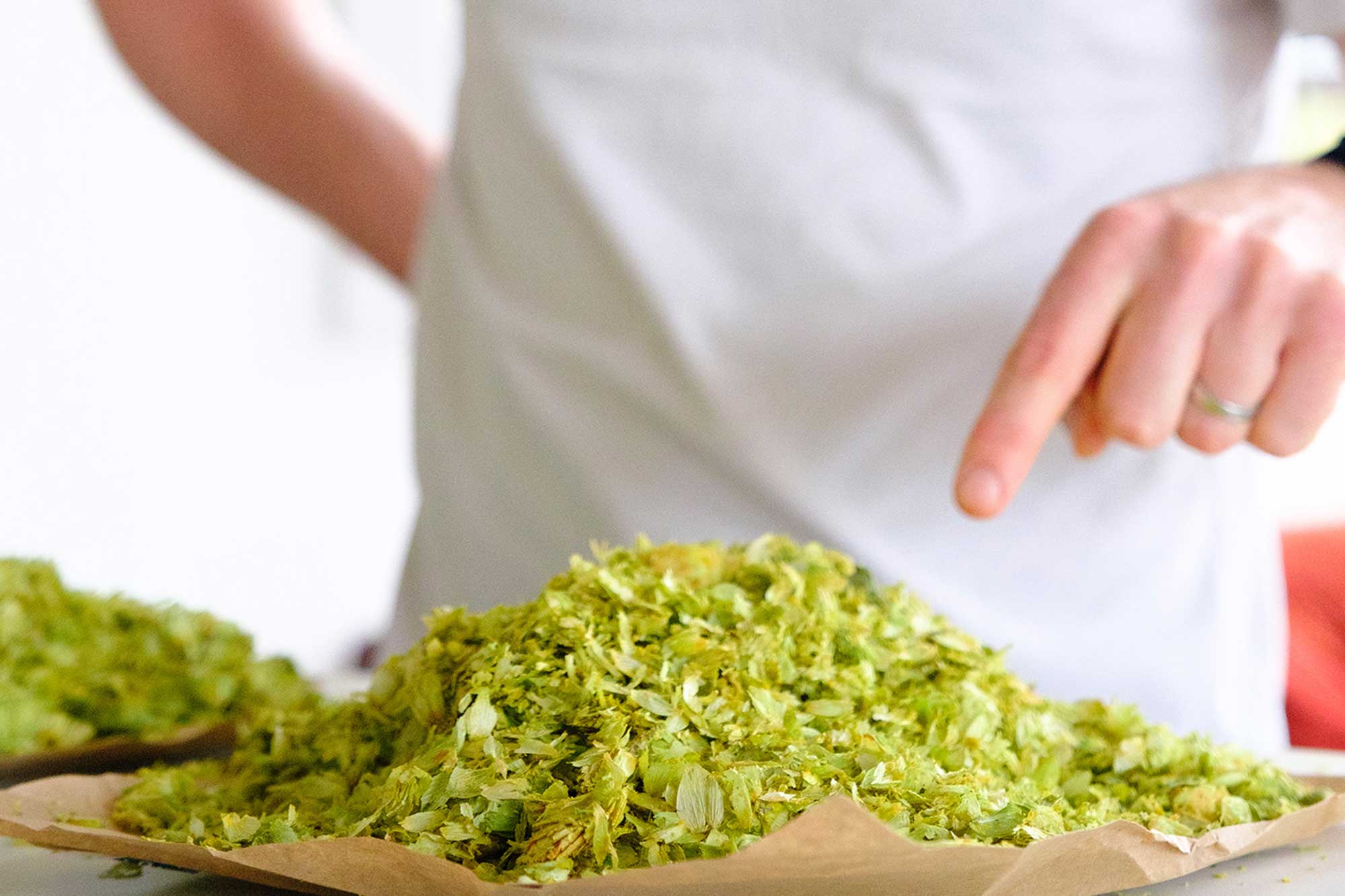 The Search for the Holy Strobile: Finding the Select Few Exciting Hops